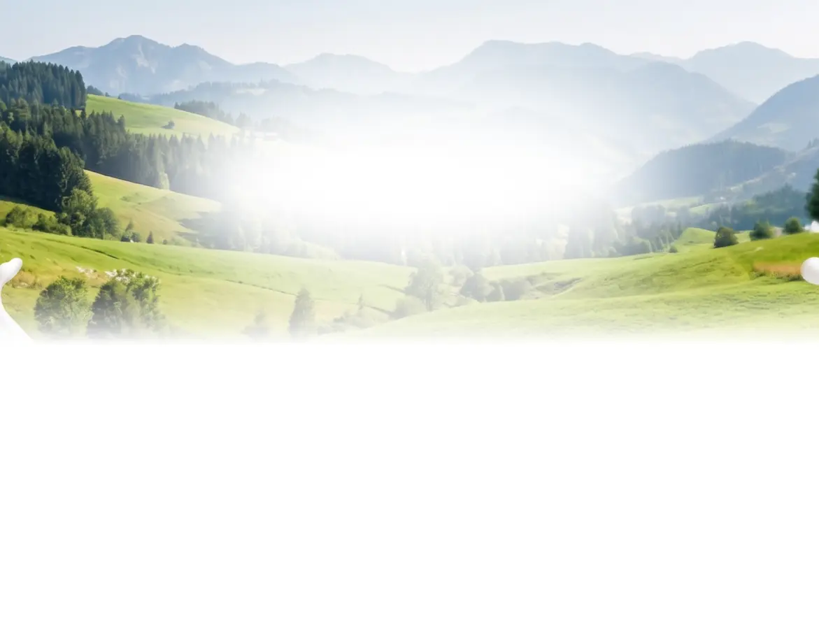 Category Background